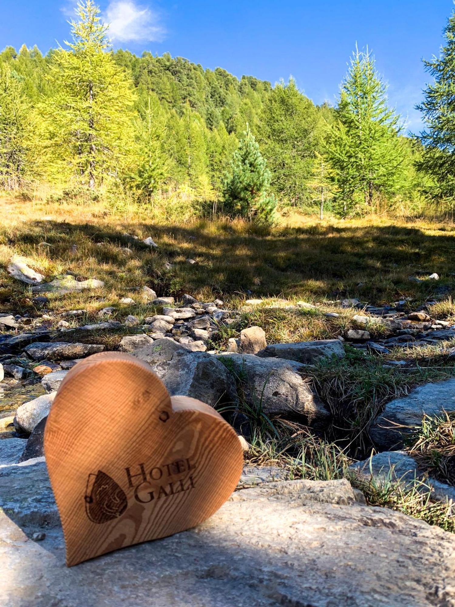 Hotel Galli Livigno Bagian luar foto